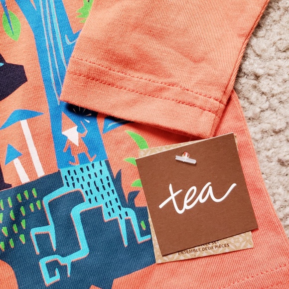 Tea Collection - Picture 2 of 4